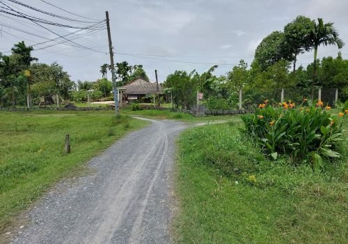 Land Plot Market Heats Up Again: Supply Scarcity, Soaring Prices – What Are the Opportunities for My Hanh Investors?